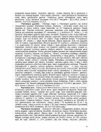 www.speros.lt